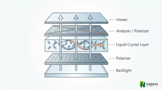 LCD Polarizer Optical Path.webp